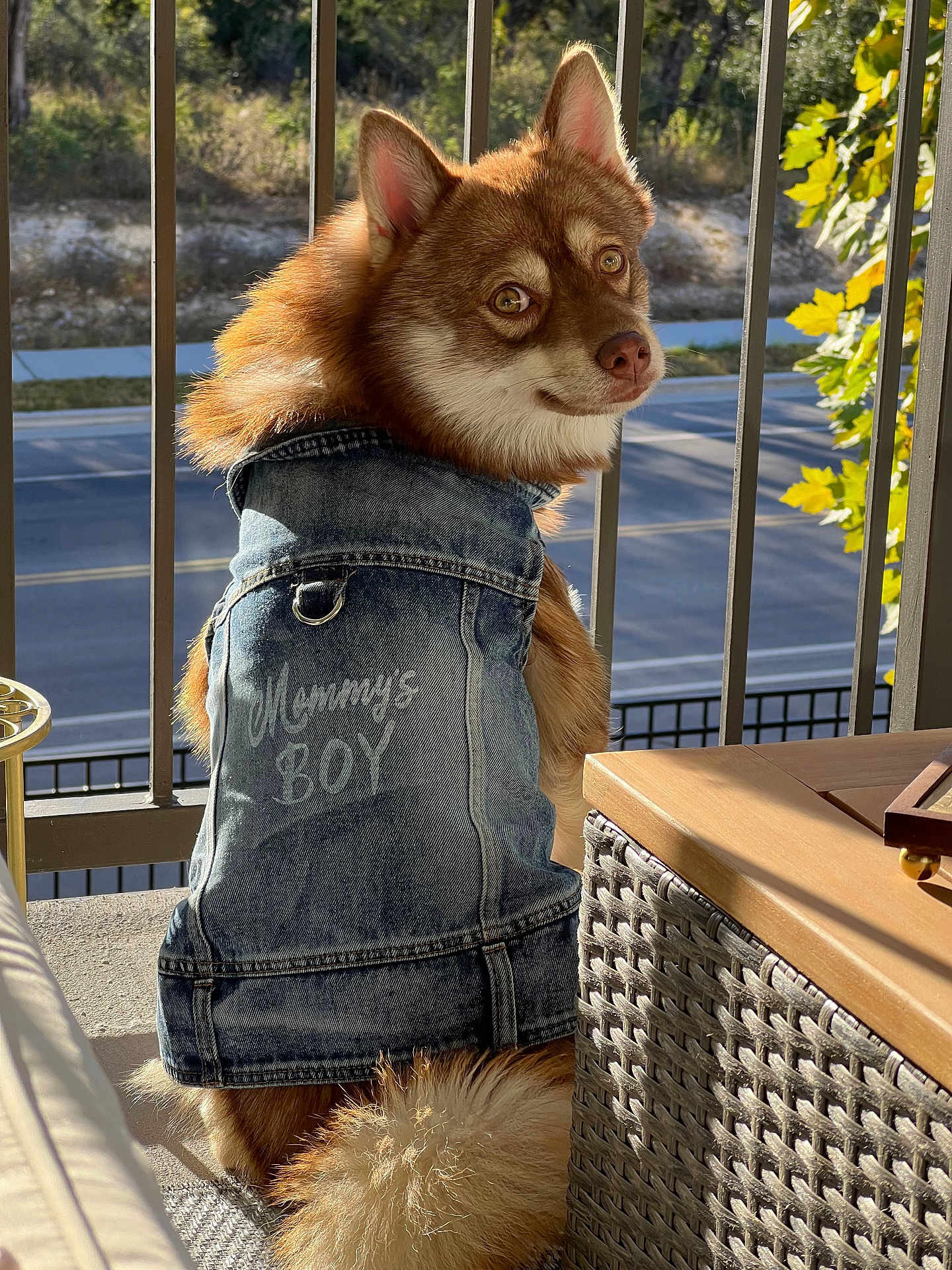 Kody