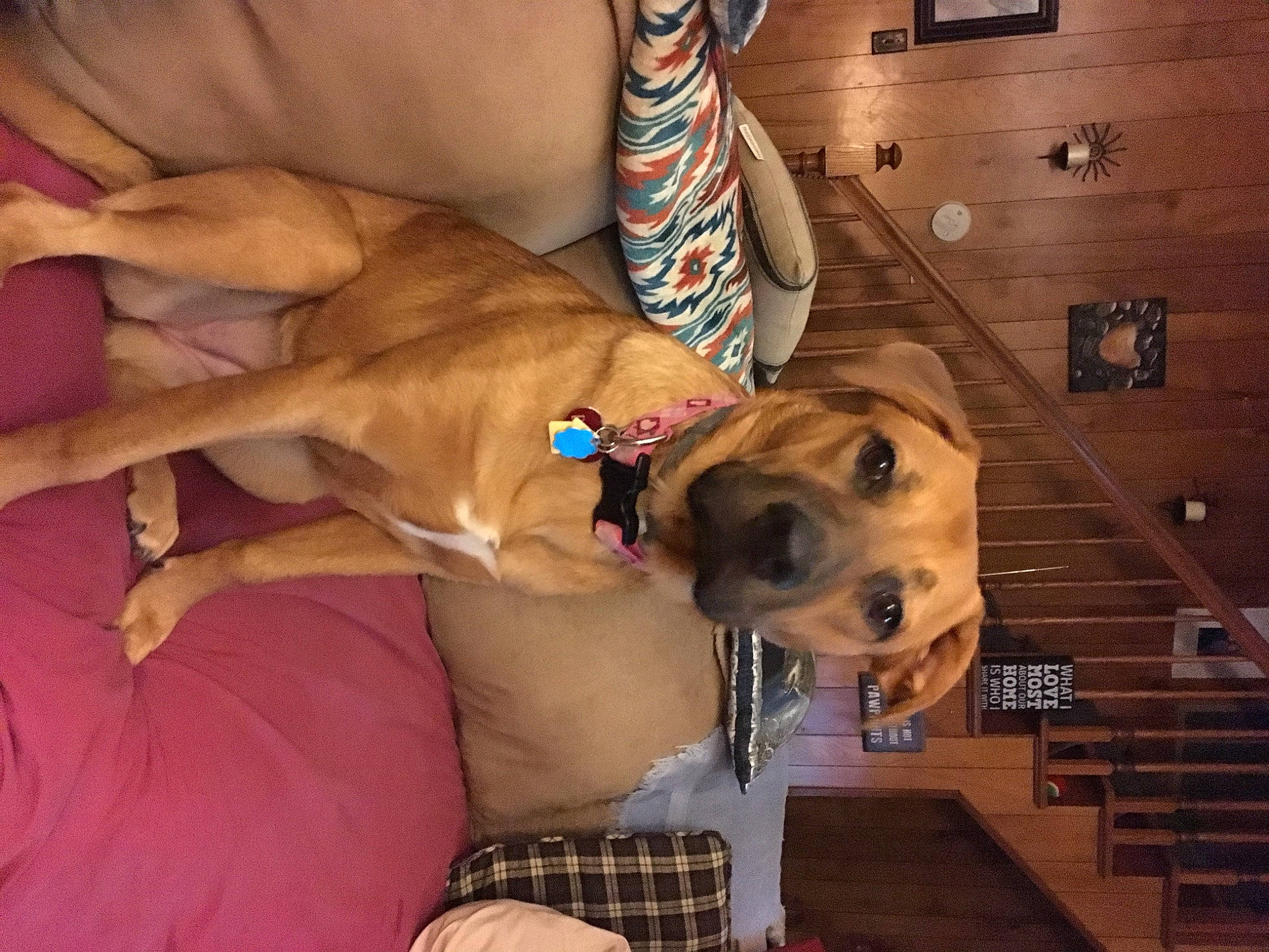 Bailey