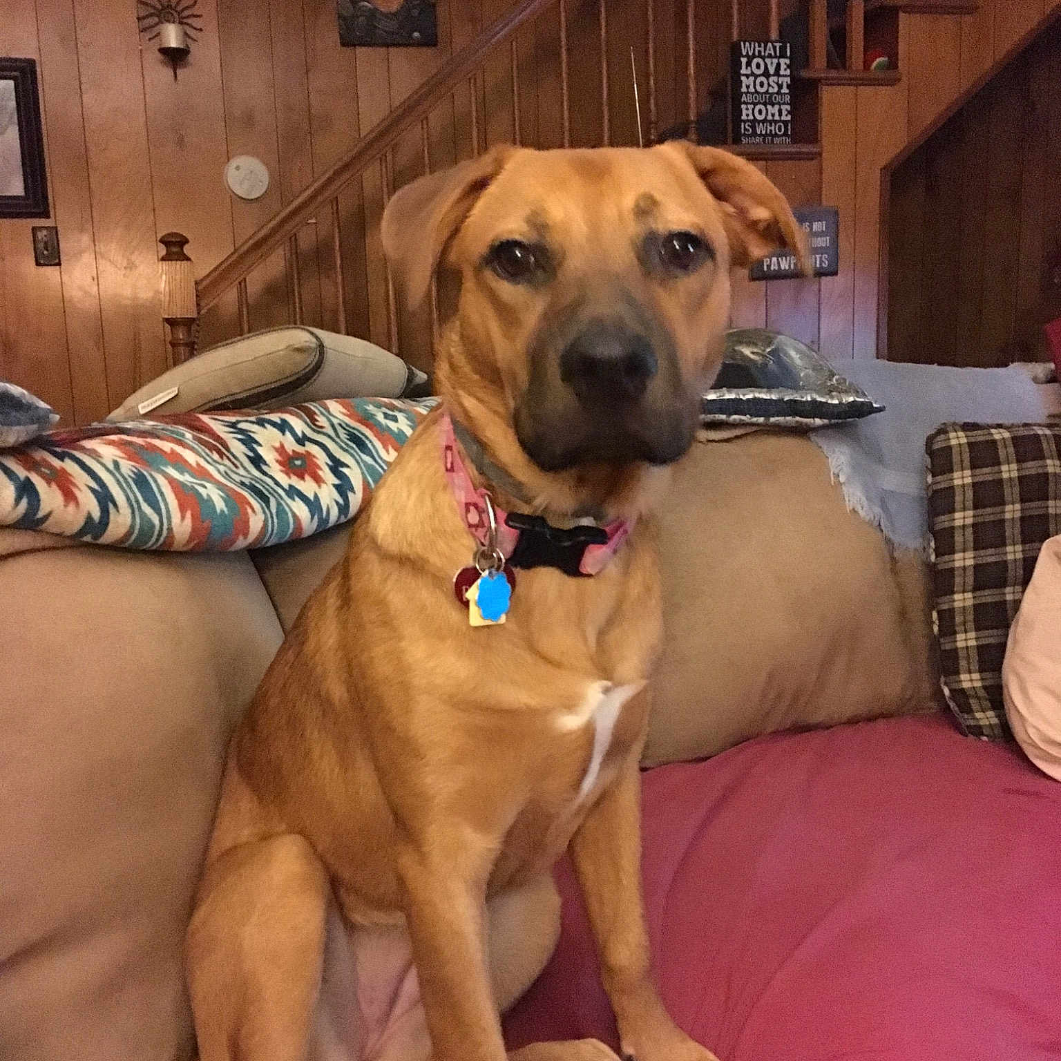 Bailey