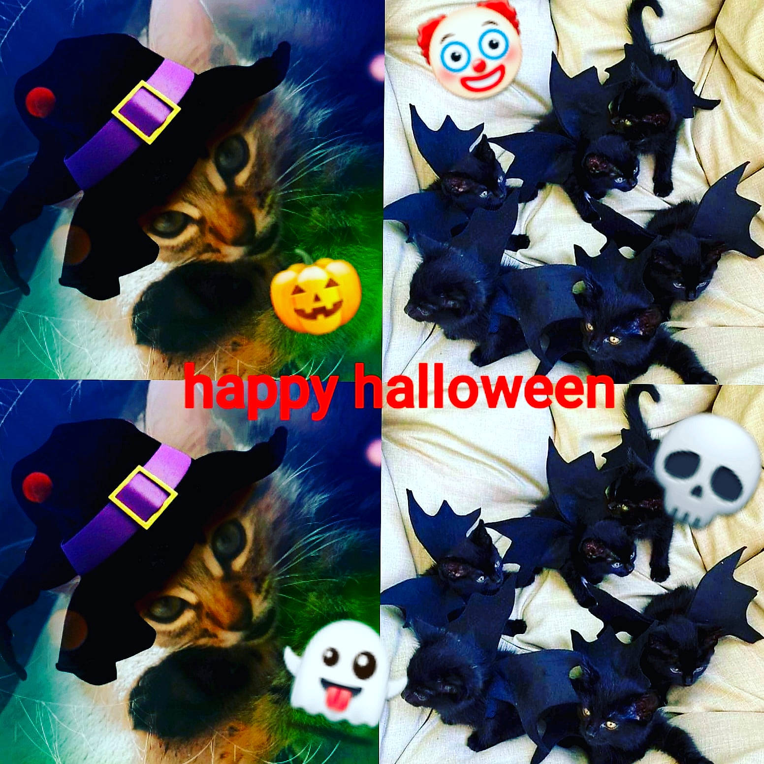 Rubis a rejoint le concours — aidez-le/la à gagner de superbes lots ! animation, art, carmine, carnivore, cg_artwork, collage, electric_blue, felidae, fictional_character, font, games, graphic_design, graphics, mammal, pattern, photo_caption, publication, recreation, toy, vertebrate