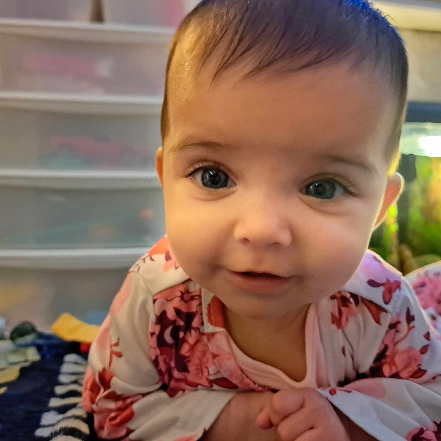 Neveah is registered to the contest to win money with this photo: baby, background_blur, blanket, child, close_up, curious, cute, eyes, face, fish_tank, floral_clothing, hands, home, indoors, infant, lying_down, portrait, sleepwear, soft_light, toy