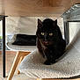 cat, black_cat, chair, wooden_leg, indoor, floor_tile, furniture, pet, animal, looking, eyes, curious, cozy, texture, home, domestic, yellow_eyes, sitting, under_table, quiet