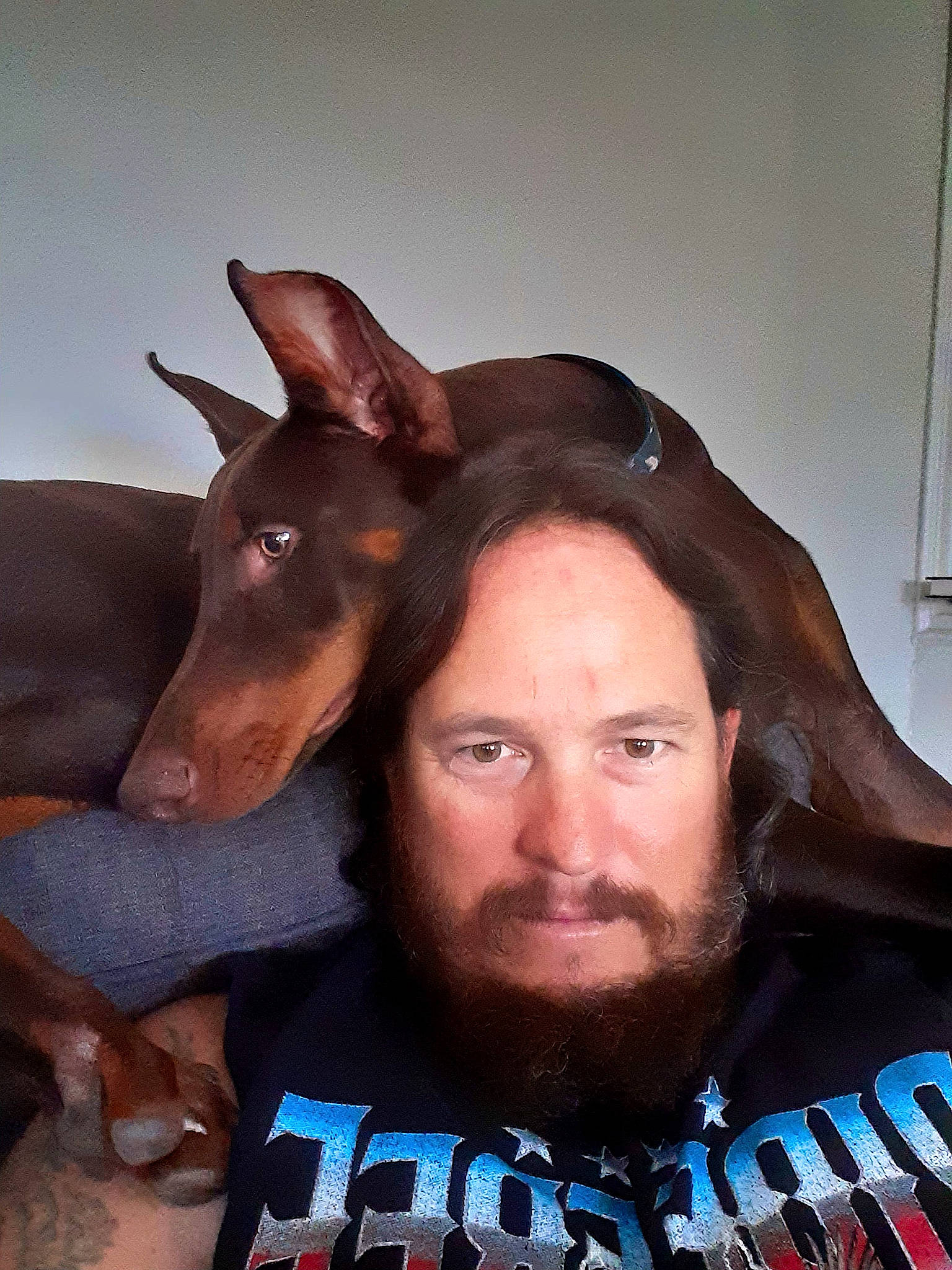 Sasha joined the competition — help win amazing prizes! beard, carnivore, companion_dog, dog, dog_breed, ear, facial_hair, fawn, fun, gesture, guard_dog, jaw, moustache, mouth, pinscher, prazsky_krysarik, selfie, t_shirt, toy_dog, working_animal