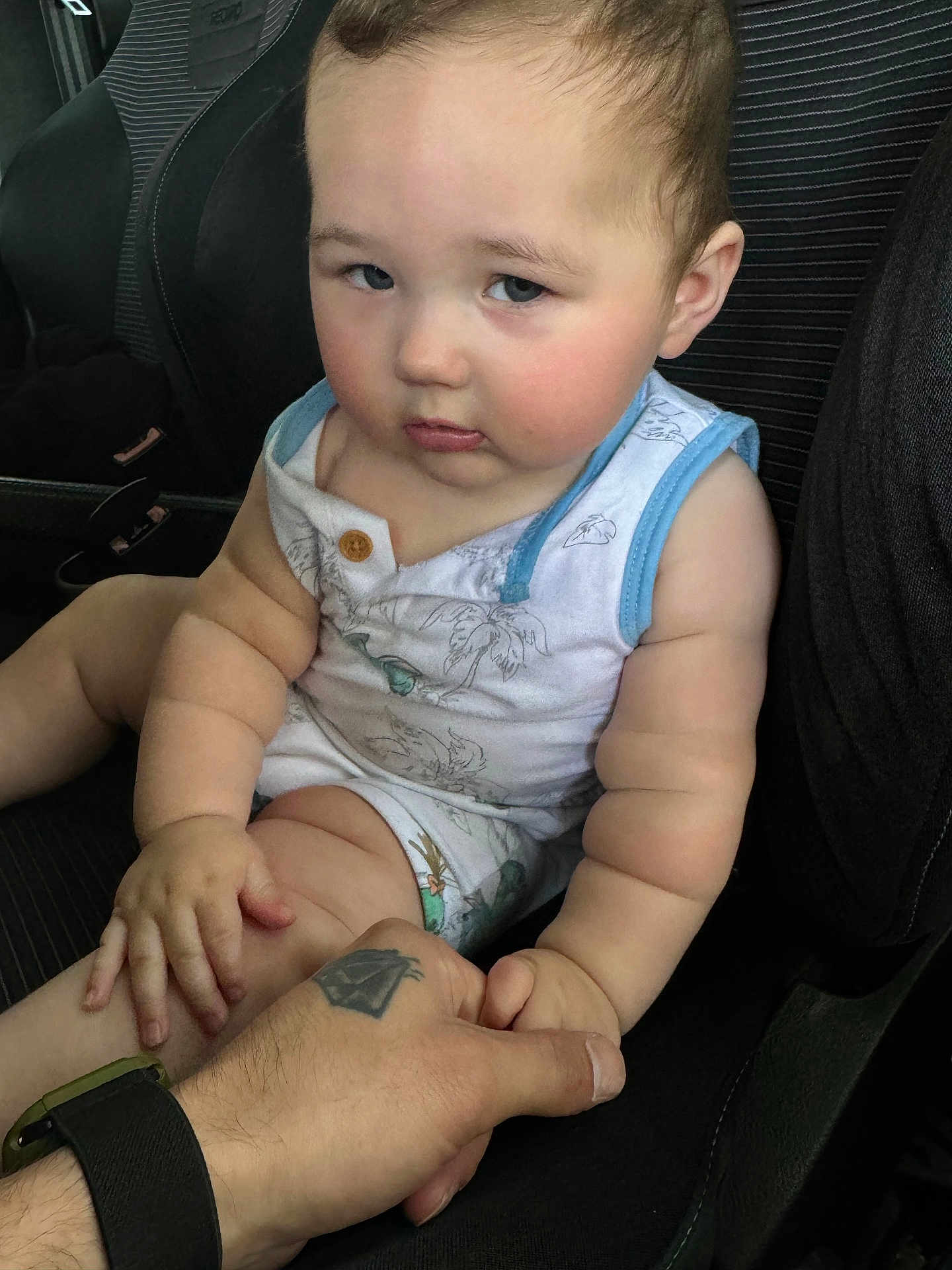 Dexter joined the competition — help win amazing prizes! accessories, arm, baby, bodypart, clothing, cushion, face, finger, hand, head, homedecor, person, photography, portrait, shorts, sitting, skin, t_shirt, tattoo, wrist