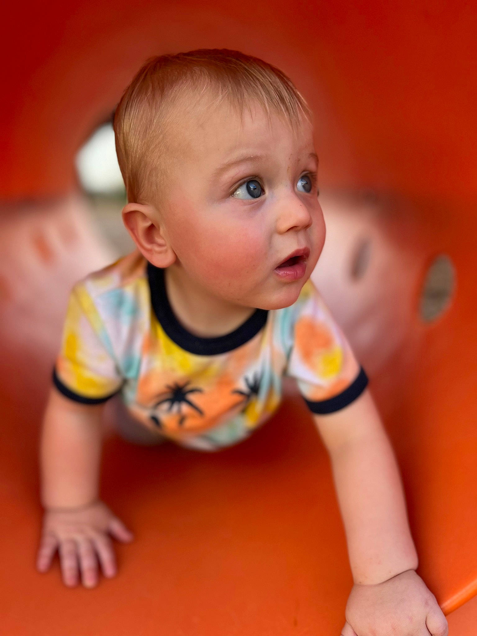 Carsyn joined the competition — help win amazing prizes! baby, baby_crawling, baby_toddler_clothing, cheek, child, close_up, crawling, flooring, fun, happy, human_body, iris, nose, orange, person, product, skin, sleeve, surprise, t_shirt