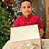 boy, celebration, child, christmas_tree, cute, decorations, festive, festivity, gift, happy, holiday, holiday_lights, indoor, portrait, present, red_shirt, seasonal, smiling, wrapped_box, young