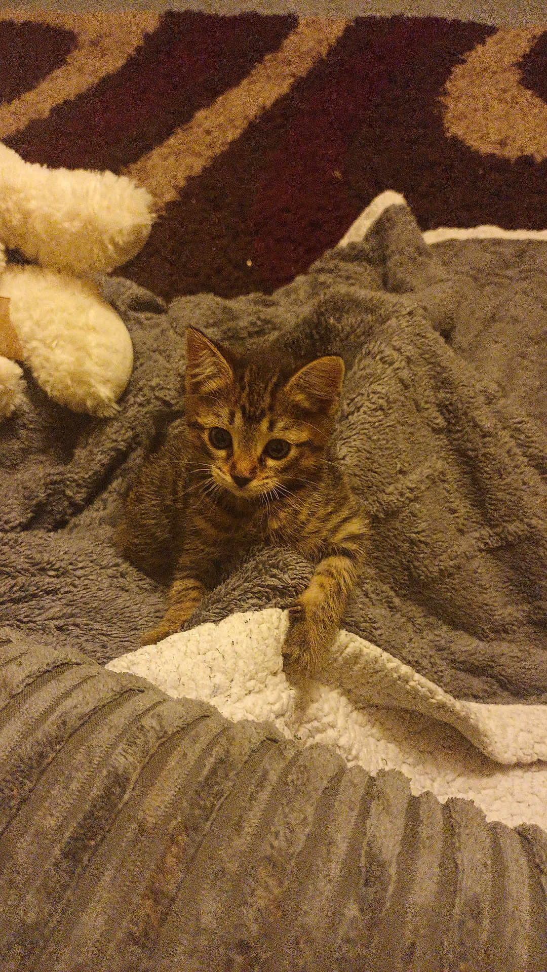 Houdini