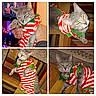 cat, gray_cat, pet, feline, holiday_outfit, striped_costume, christmas, red_and_white, green_trim, collage, four_panel, indoor, living_room, television, christmas_lights, carpet, wooden_floor, whiskers, yellow_eyes, playful