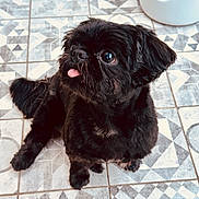 Nuba participe au concours pour gagner de l'argent avec cette photo :