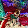 dog, christmas_tree, christmas_lights, christmas_ornaments, holiday, festive_clothing, blanket, teddy_bear, red_ribbon, green, white, decorations, indoor, cute, small_dog, christmas_theme, holiday_season, winter, celebration, festive