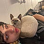 Mr Kitty is registered to the contest to win money with this photo: person, cat, siamese_cat, pet, indoor, resting, nose_ring, black_shirt, white_wall, bed, cage, feline, cute, companion, animal, young_cat, relaxation, human, curled_up, close_up