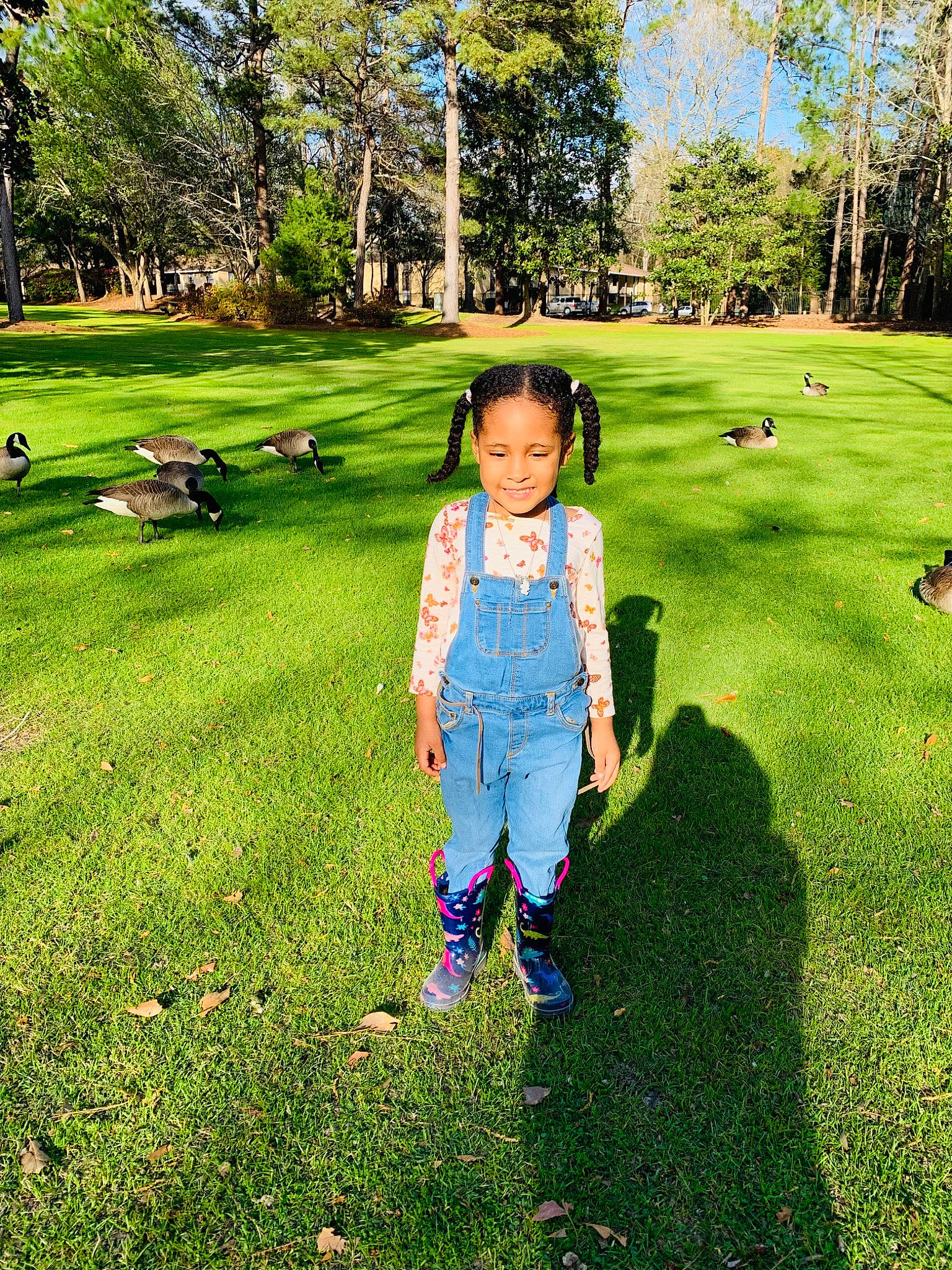 Kaylee joined the competition — help win amazing prizes! botany, grass, grassland, green, happy, joy, landscape, leaf, leisure, meadow, natural_environment, natural_landscape, nature, people_in_nature, person, plant, sky, sunlight, tints_and_shades, toddler