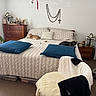 bed, bedroom, blanket, books, carpet, cat, chair, cozy, cross, decor, dresser, furniture, home_interior, lamp, pets, pillows, plant, religious_artifacts, rosary, window_light
