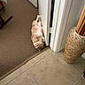Simba is registered to the contest to win money with this photo: animal, basket, carpet, cat, cozy, cute, domestic, door, doorway, feline, flooring, fur, home, indoor, pet, relaxed, resting, sleeping, tile_floor, whiskers