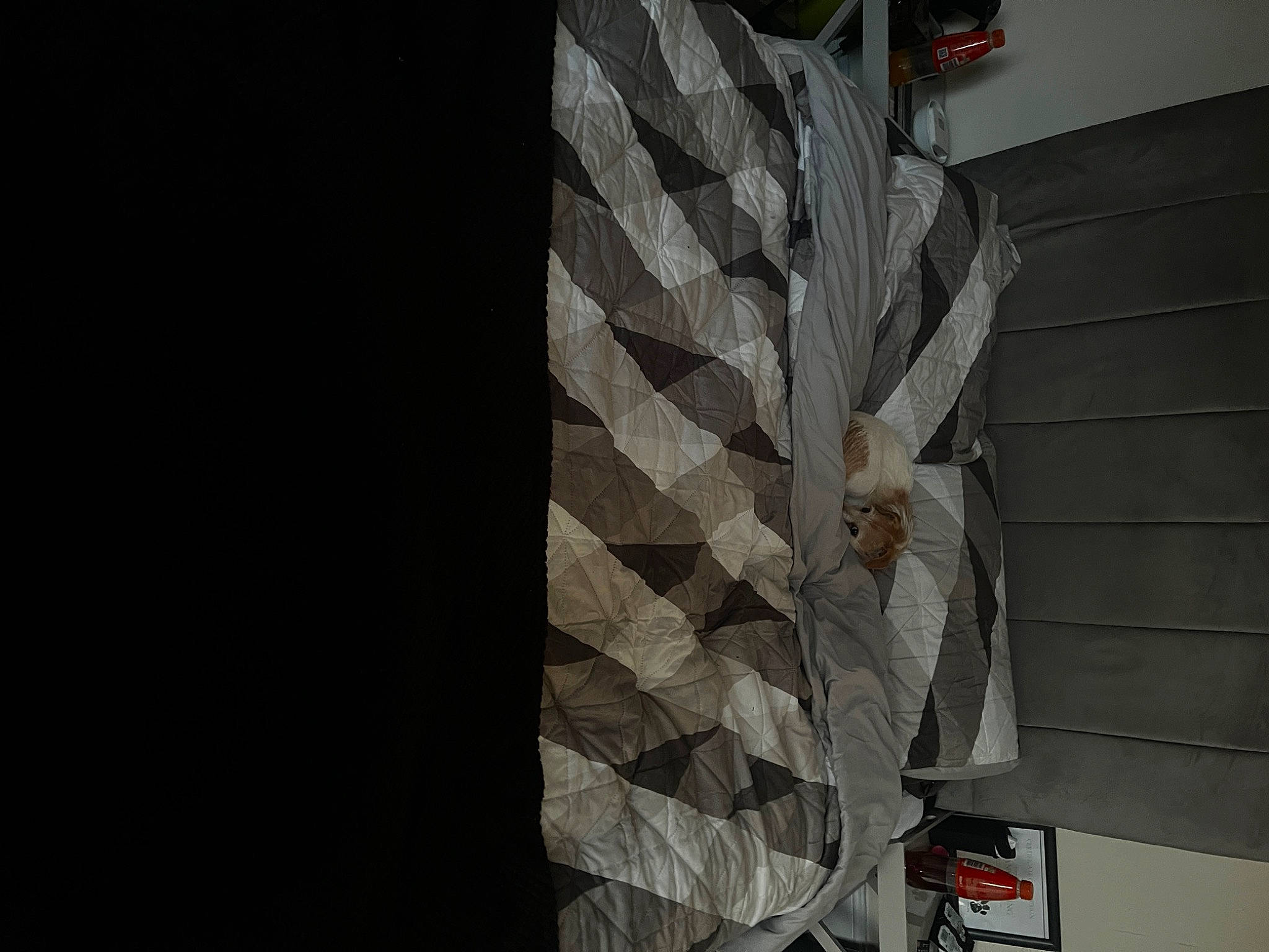 Angel joined the competition — help win amazing prizes! art, building, ceiling, curtain, facade, flooring, glass, grey, linens, pattern, plant, room, shade, shadow, sleeve, tints_and_shades, transparent_material, tree, visual_arts, wood