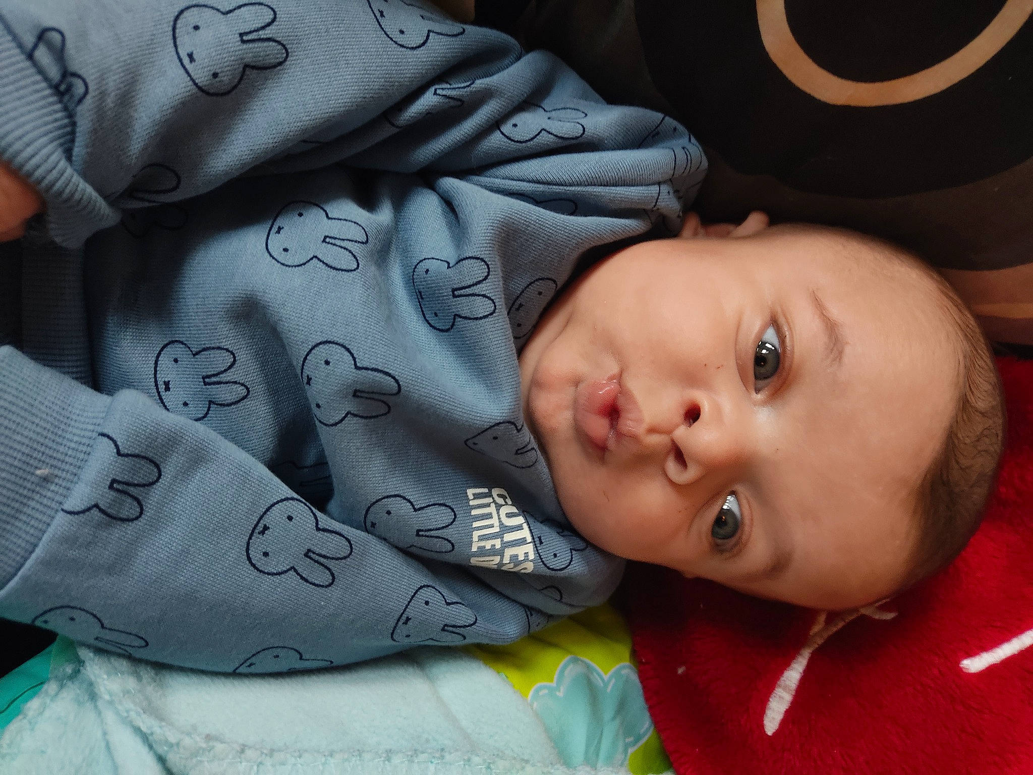 Kenzo a rejoint le concours — aidez-le/la à gagner de superbes lots ! baby, baby_toddler_clothing, cheek, child, comfort, cool, eyebrow, eyelash, happy, lip, mammal, mouth, nose, person, sitting, skin, smile, textile, toddler, tree