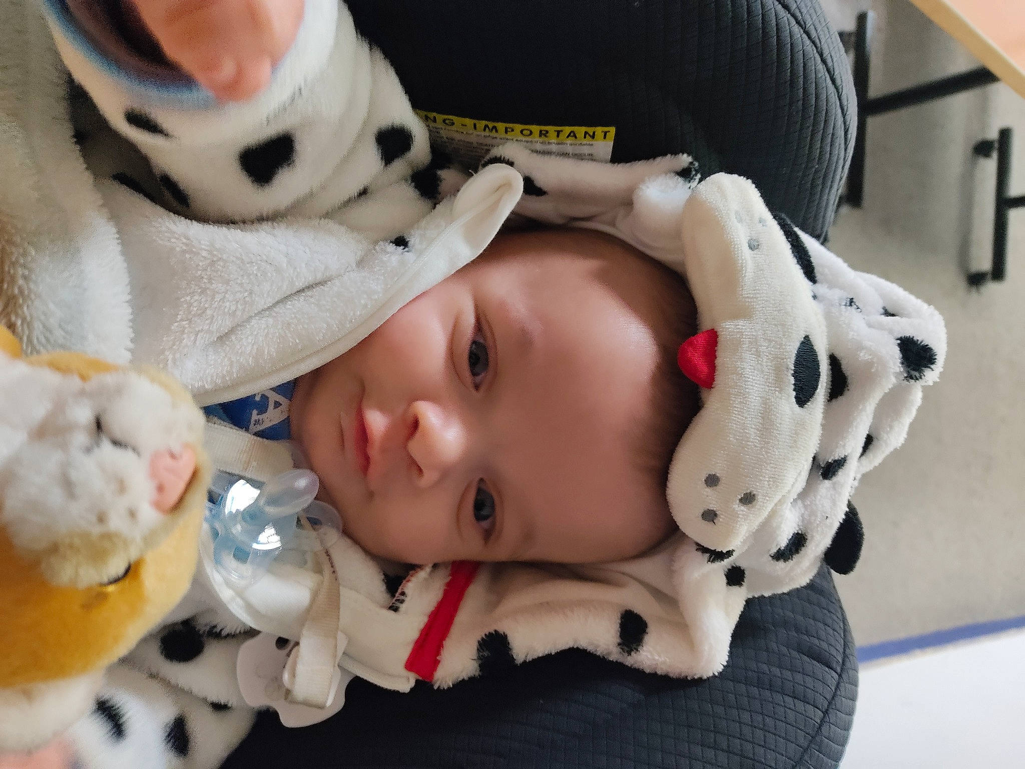 Kenzo a rejoint le concours — aidez-le/la à gagner de superbes lots ! baby, baby_carriage, baby_products, baby_toddler_clothing, cap, carmine, cheek, child, clothing, comfort, eye, eyelash, fashion_accessory, fur, person, personal_protective_equipment, skin, sleeve, toddler, toy