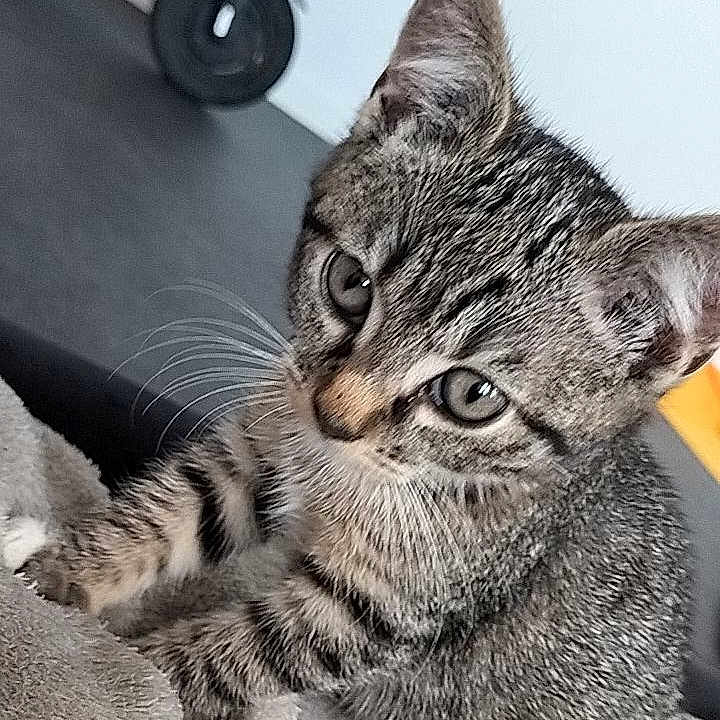 Sleepy