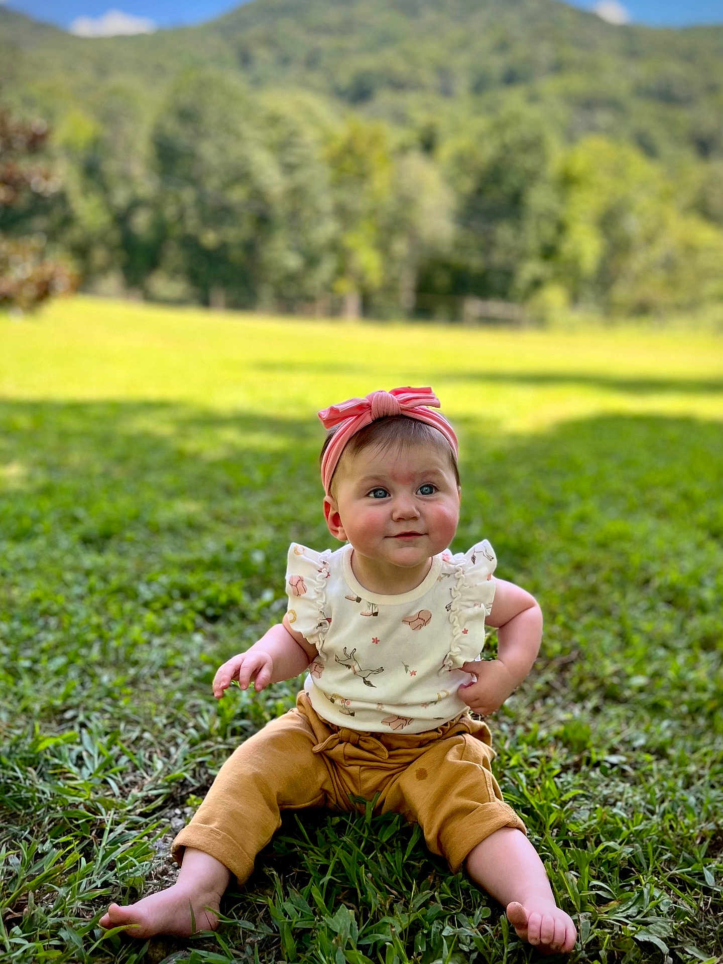 Isla