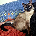 Rebecca R.
