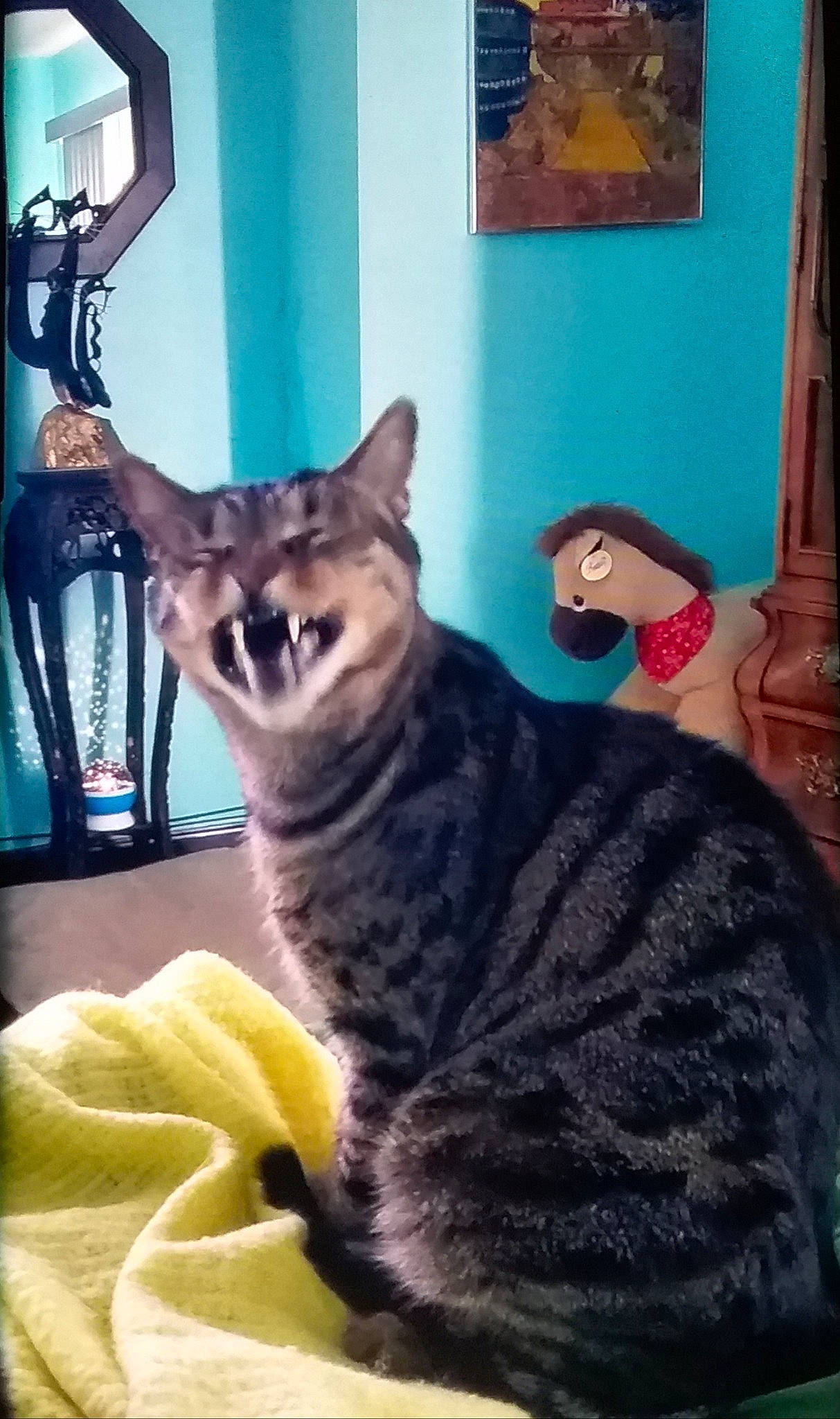 Horatio Caine joined the competition — help win amazing prizes! carnivore, cat, cat_supply, chair, comfort, domestic_short_haired_cat, door, felidae, fur, paw, photo_caption, picture_frame, room, sitting, small_to_medium_sized_cats, snout, tail, terrestrial_animal, whiskers