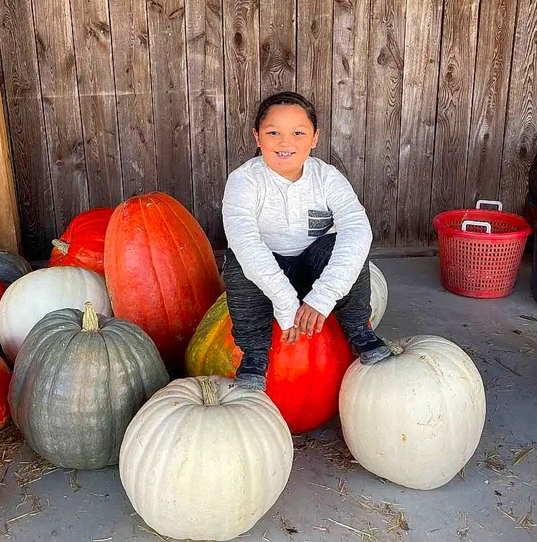Jaxon is registered to the contest to win money with this photo: calabaza, cucurbita, facial_expression, food, fruit, gourd, happy, joy, local_food, natural_foods, orange, person, plant, pumpkin, squash, superfood, tints_and_shades, vegetable, white, whole_food
