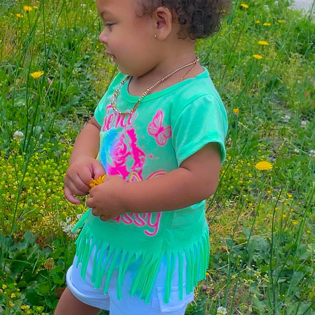 Amia