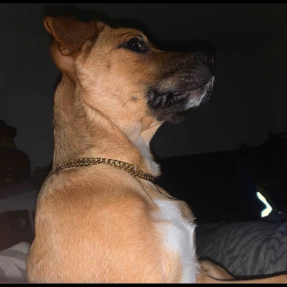 Tyson
