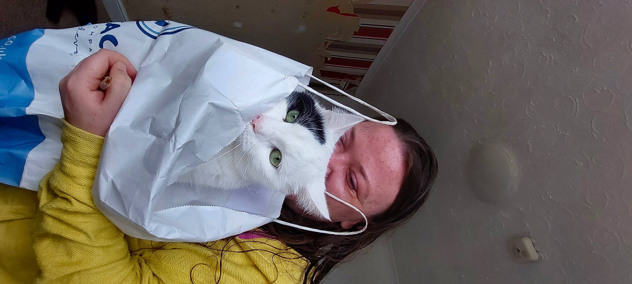 Dipstick is registered to the contest to win money with this photo: cat, child, comfort, eyelash, eyewear, felidae, flesh, fur, glasses, linens, nap, room, sleep, small_to_medium_sized_cats, snout, whiskers