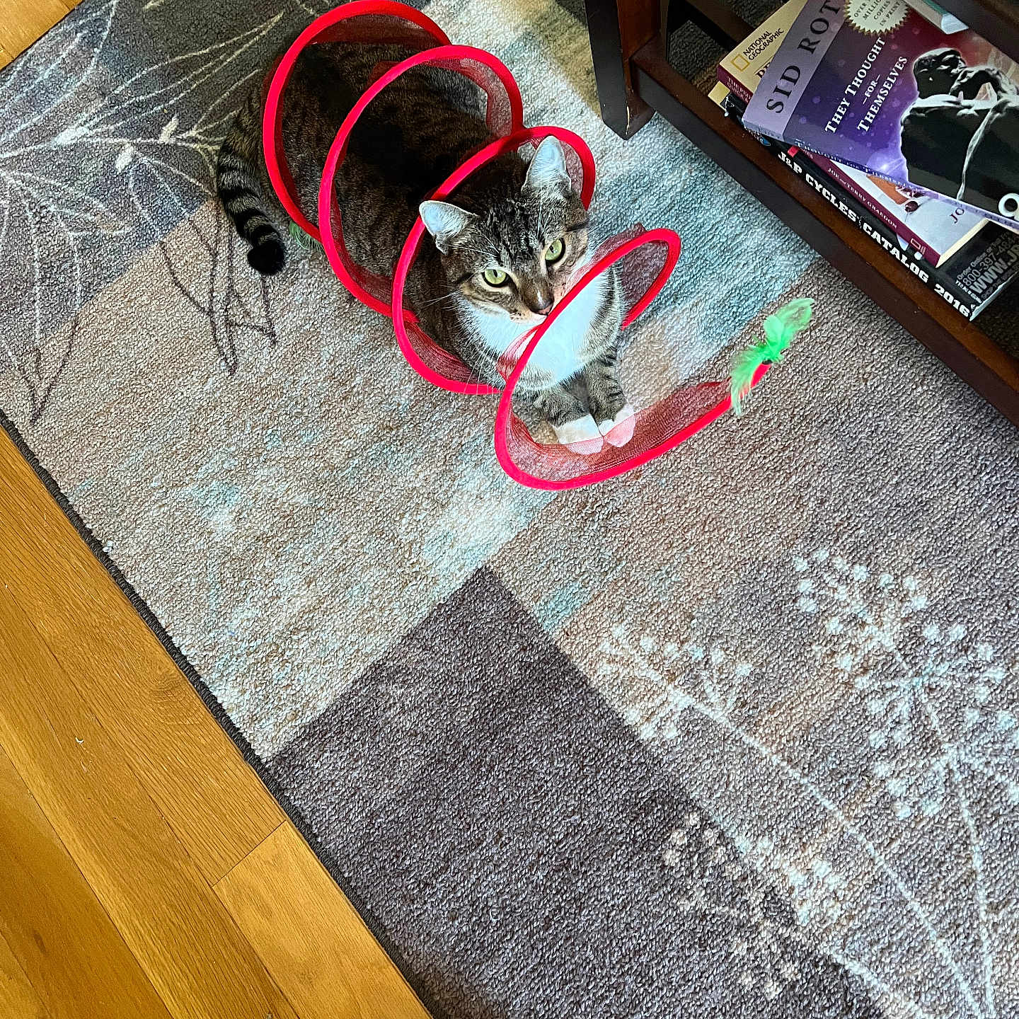 Milo