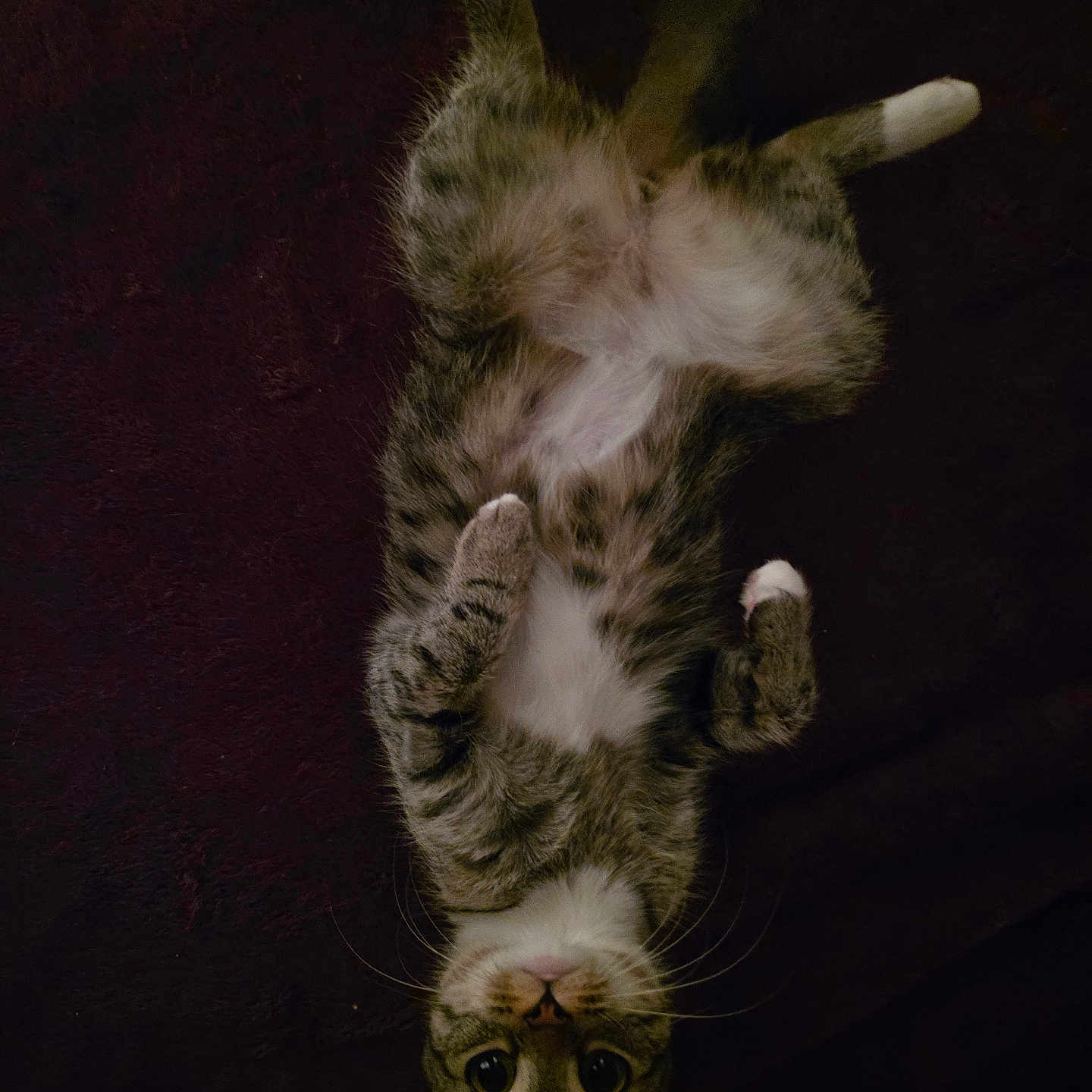 Chloe