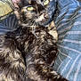 cat, tortoiseshell, pet, feline, animal, yellow_eyes, fur, whiskers, close_up, indoor, blanket, pattern, relaxed, resting, cute, domestic_animal, portrait, sleepy, cozy, soft_lighting