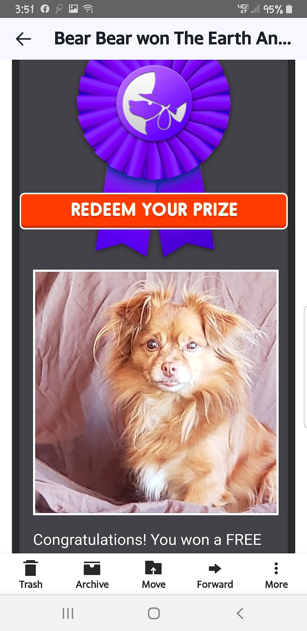 Bear Bear is registered to the contest to win money with this photo: canidae, carnivore, dog_breed, puppy, text