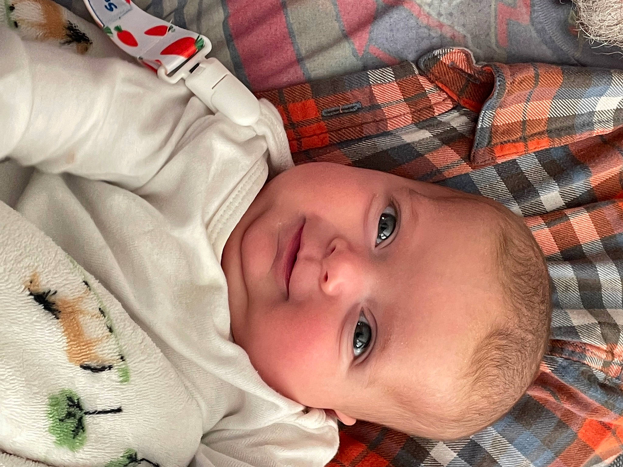 Oaklee is registered to the contest to win money with this photo: baby, baby_products, baby_toddler_clothing, cheek, chest, child, comfort, eyelash, face, linens, nose, pattern, person, plaid, skin, sleep, sleeve, smile, tartan, toddler