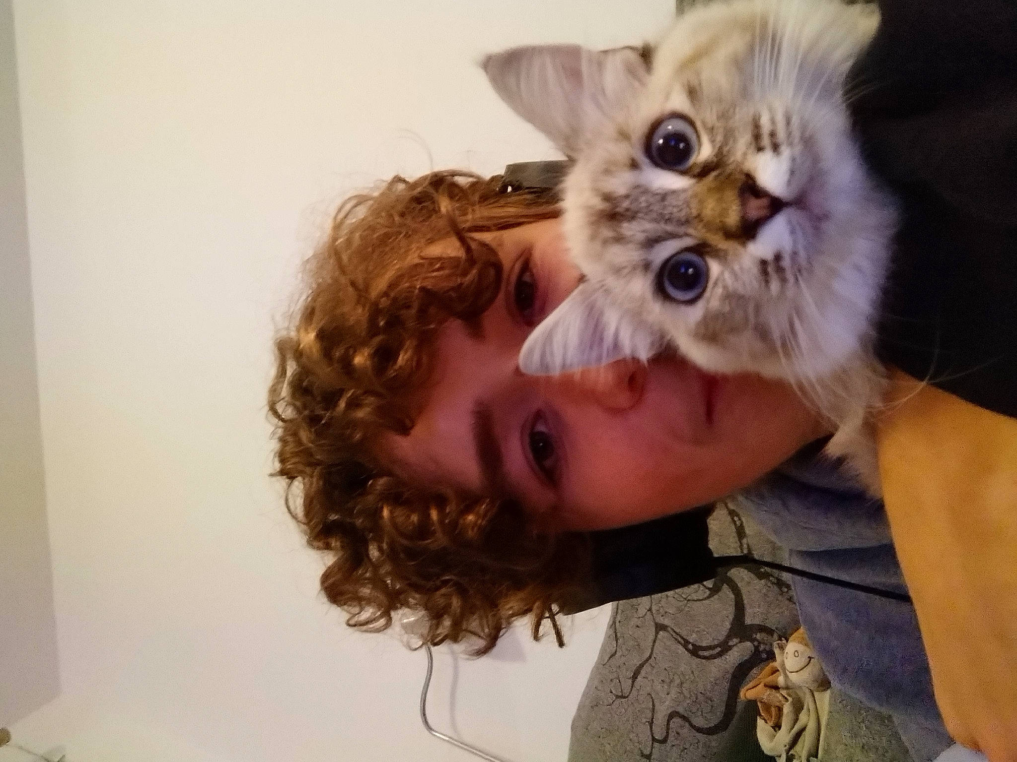 Moon a rejoint le concours — aidez-le/la à gagner de superbes lots ! beard, blond, carnivore, cat, comfort, domestic_short_haired_cat, ear, eyelash, eyewear, fawn, felidae, fur, gesture, glasses, happy, iris, selfie, small_to_medium_sized_cats, sunglasses, whiskers