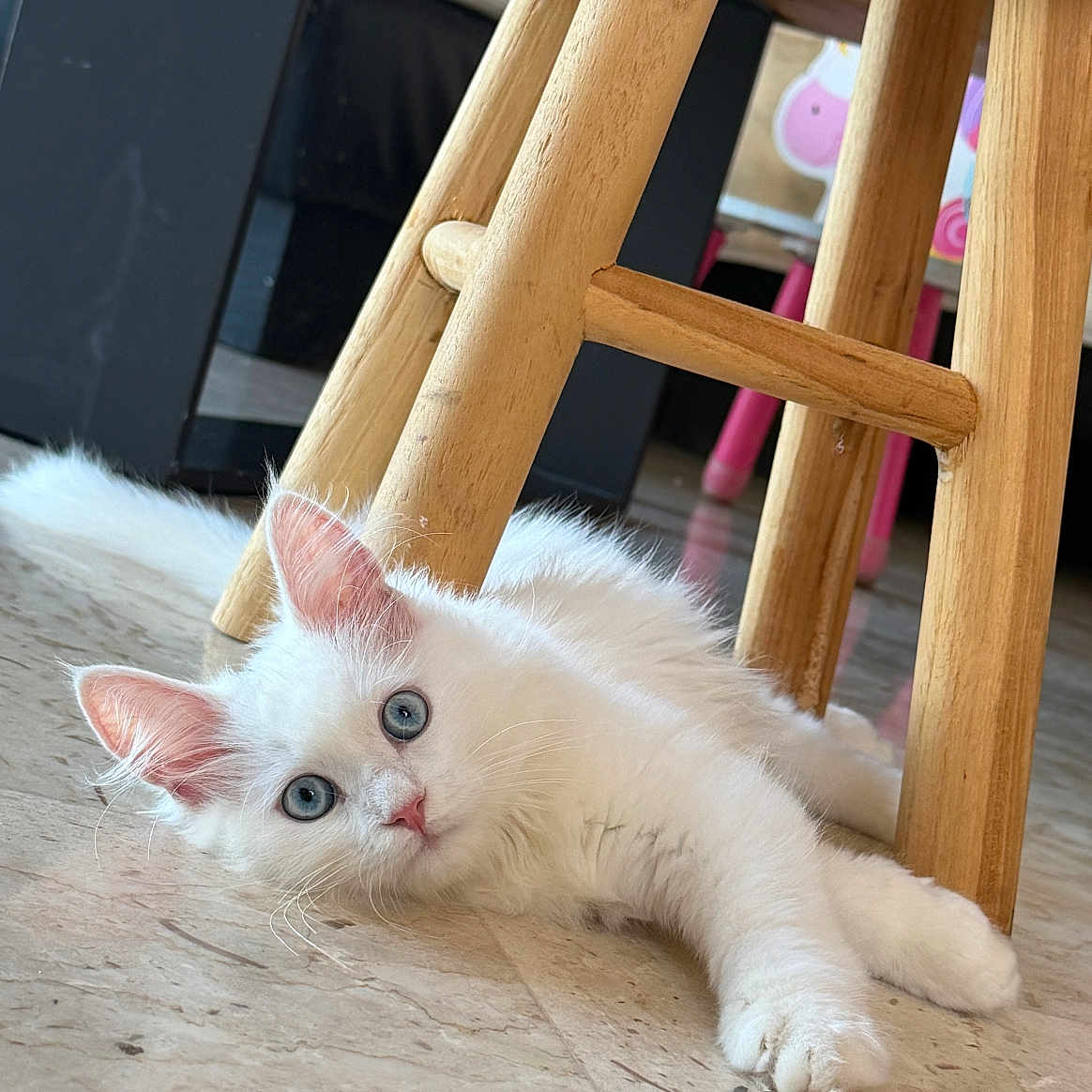 Bambina