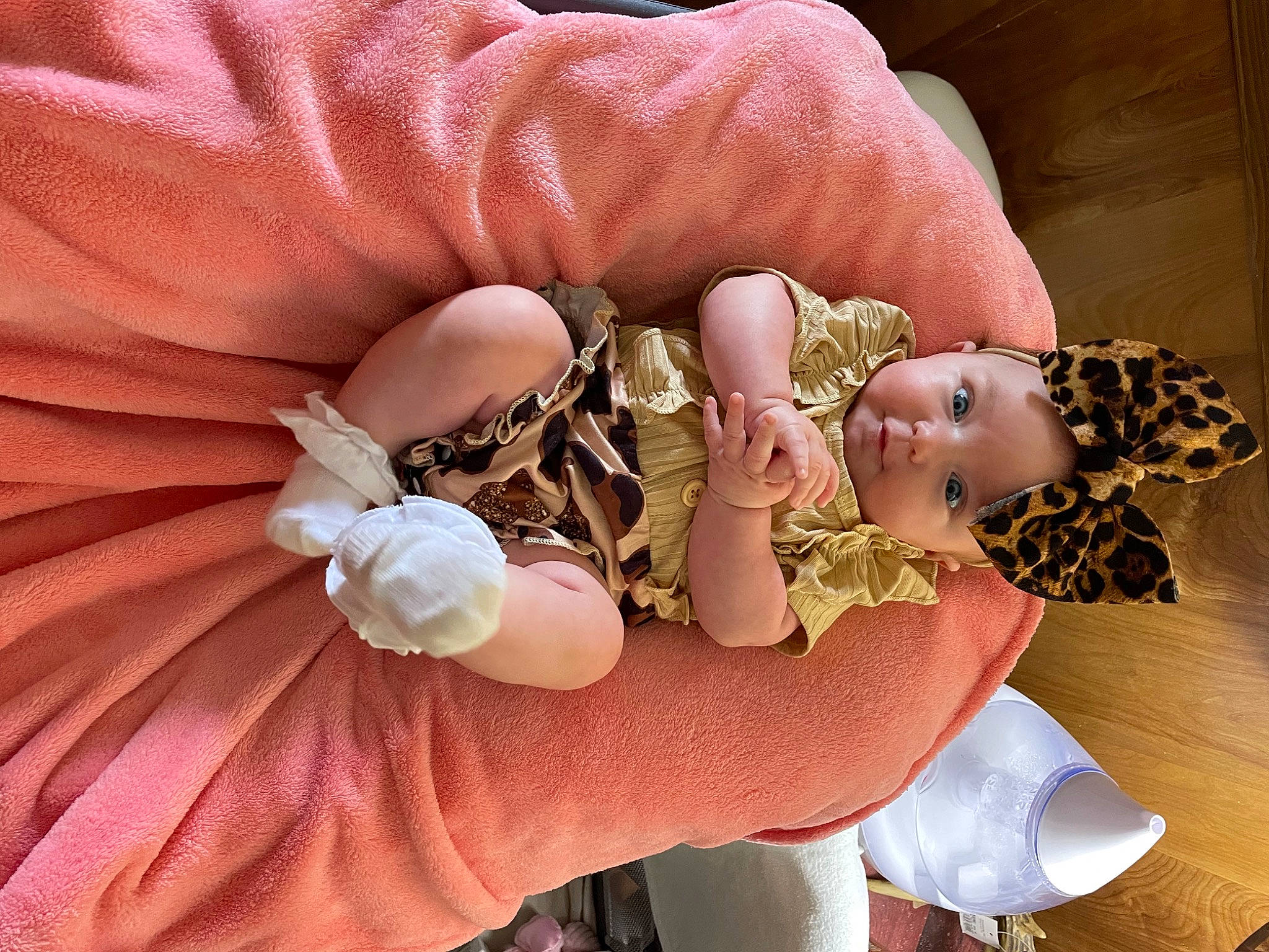 Collins joined the competition — help win amazing prizes! baby, bracelet, bridal_accessory, costume, cut_flowers, event, fashion_accessory, flesh, floral_design, hair_accessory, headband, headpiece, jewellery, nail, peach, person, petal, pink, rose, sweetness