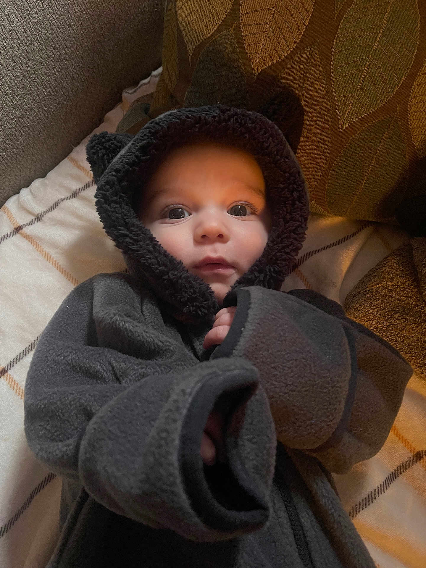 Nolan joined the competition — help win amazing prizes! baby, blanket, bonnet, cap, clothing, coat, face, fleece, hat, head, hood, hoodie, jacket, knitwear, newborn, person, photography, portrait, sweater, sweatshirt