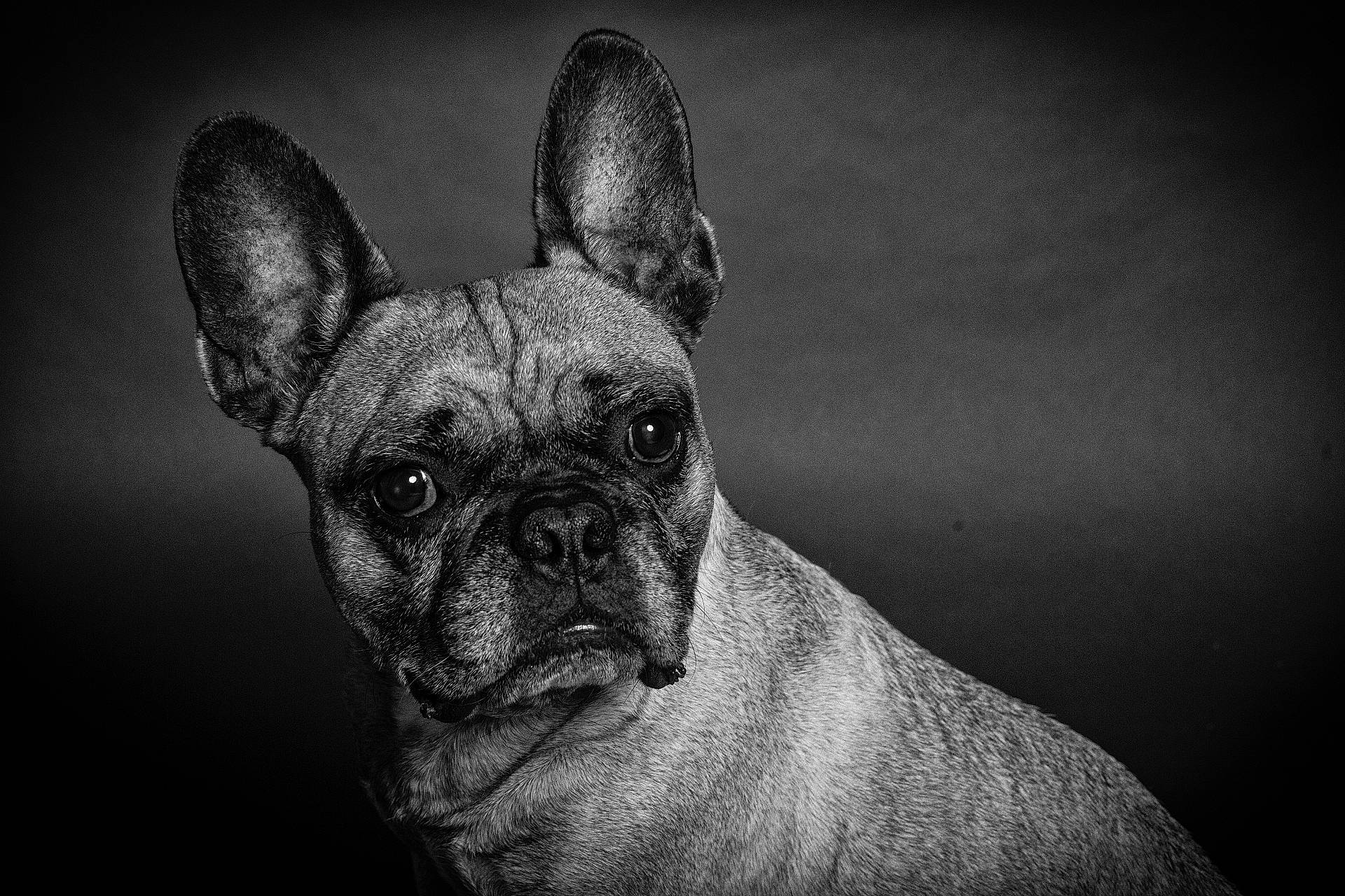 Lucien