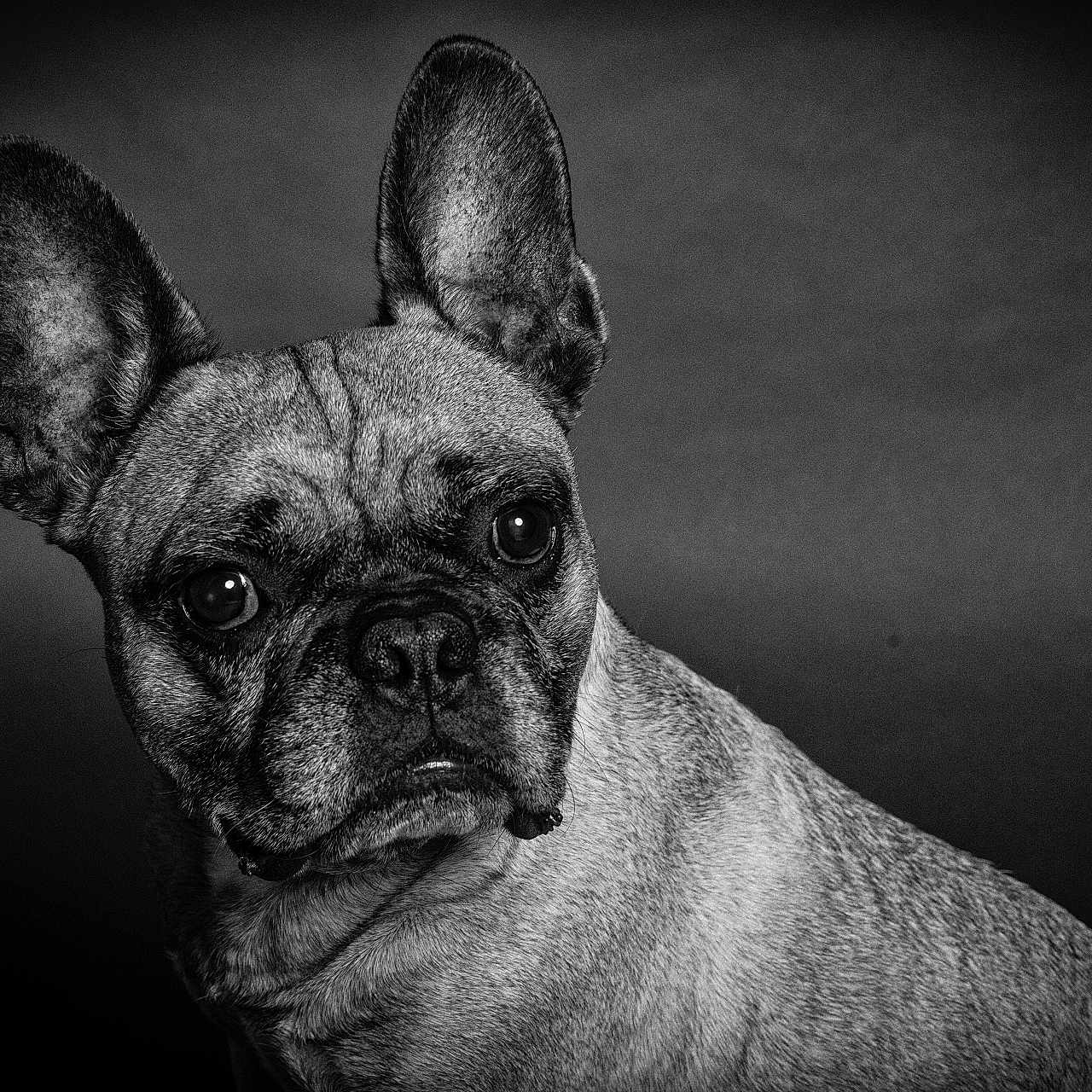 Lucien