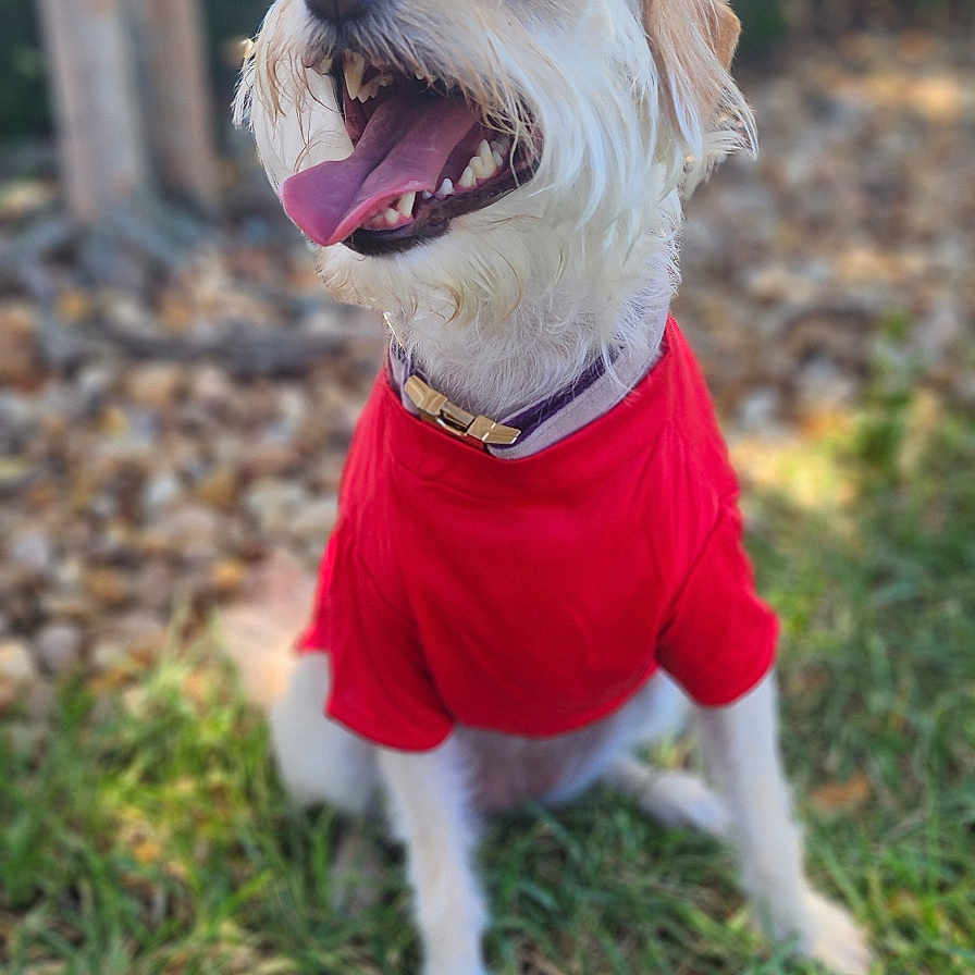 Lilly