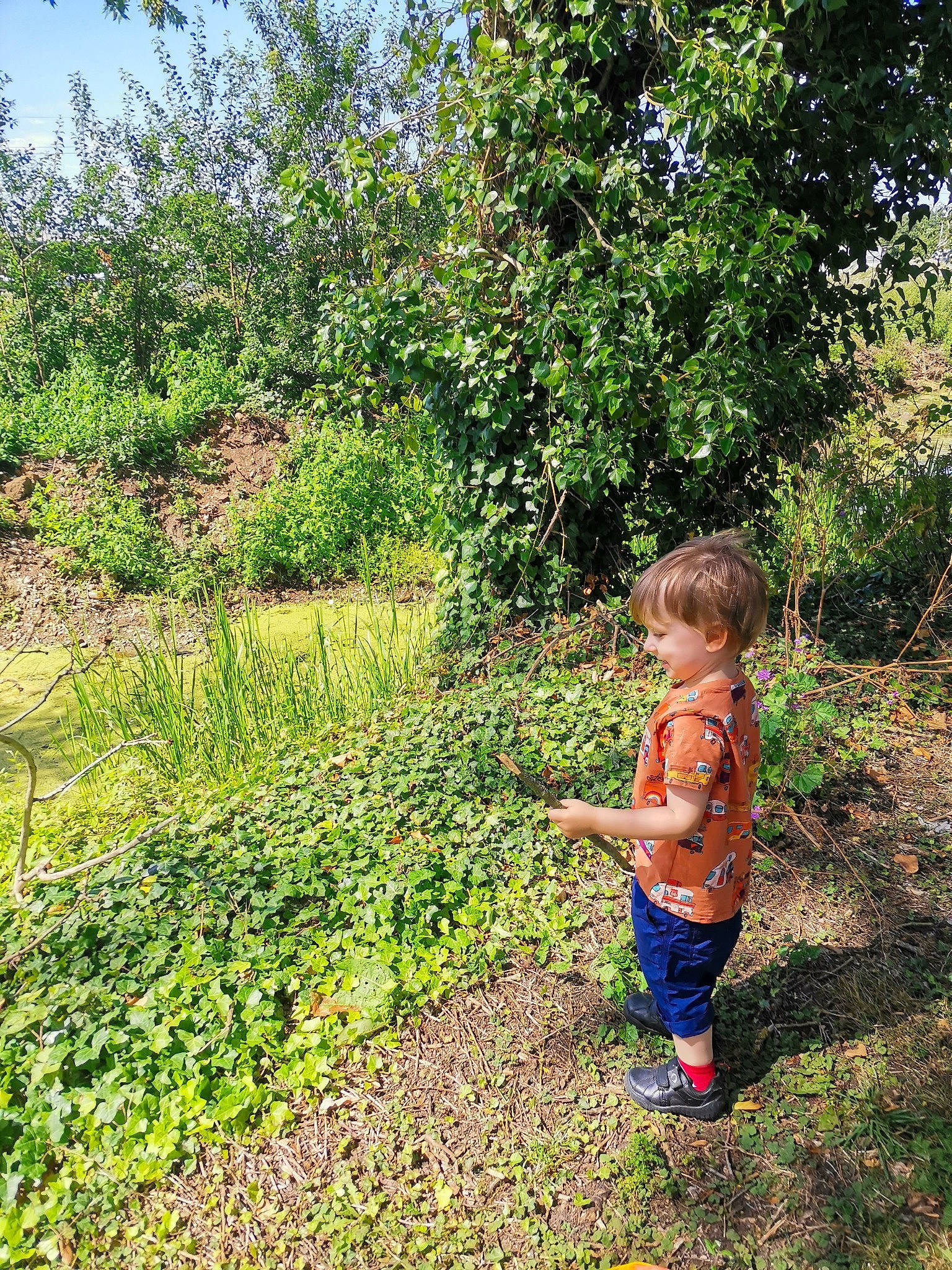 Toby is registered to the contest to win money with this photo: baby, baby_toddler_clothing, garden, gardening, grass, grassland, groundcover, herb, landscape, natural_landscape, people_in_nature, person, plant, plantation, shrub, sky, soil, subshrub, terrestrial_plant, toddler