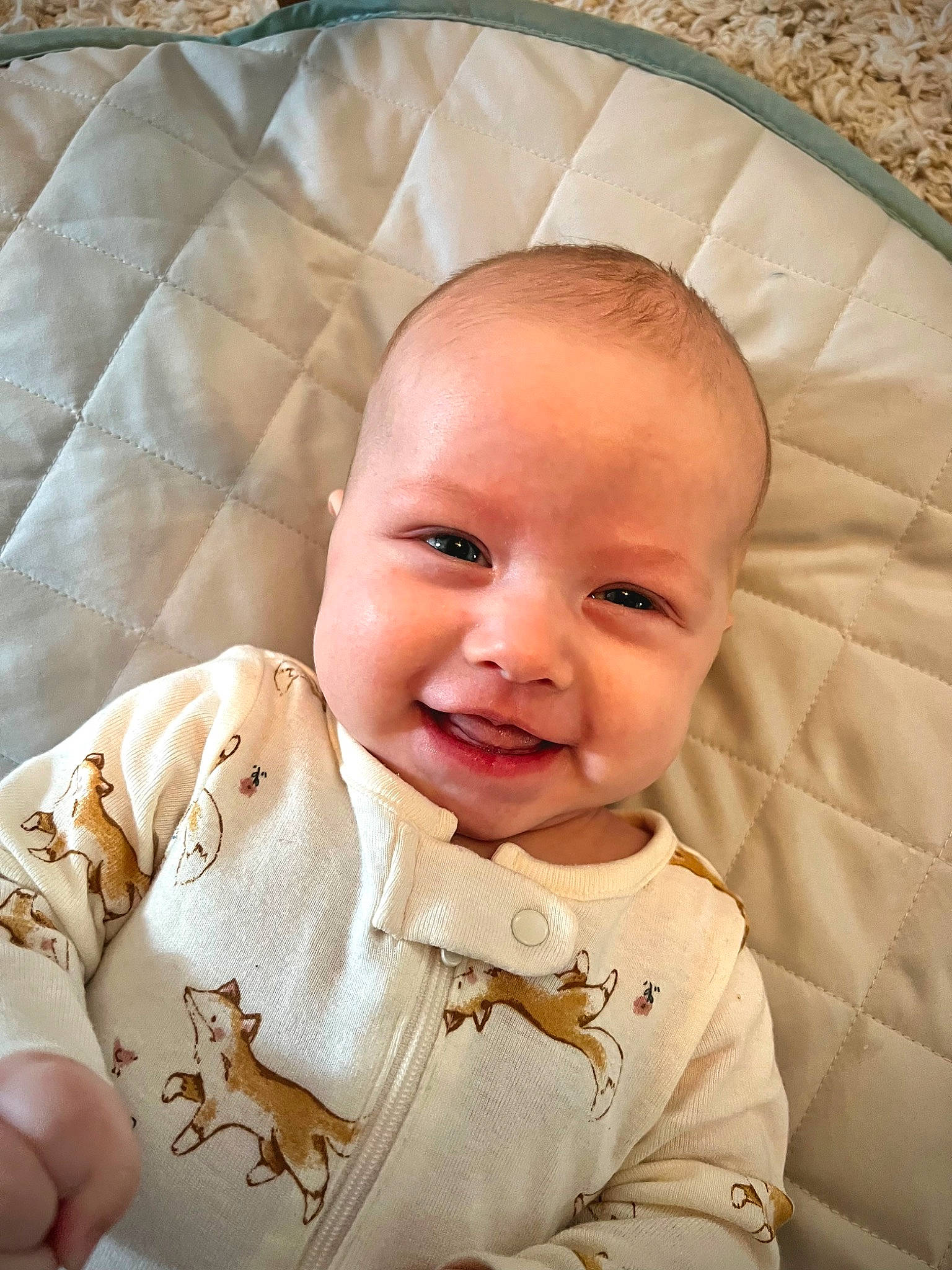 Sofia joined the competition — help win amazing prizes! baby, baby_toddler_clothing, cheek, child, collar, comfort, eye, eyebrow, face, happy, head, iris, linens, mouth, nose, person, skin, sleeve, smile, textile