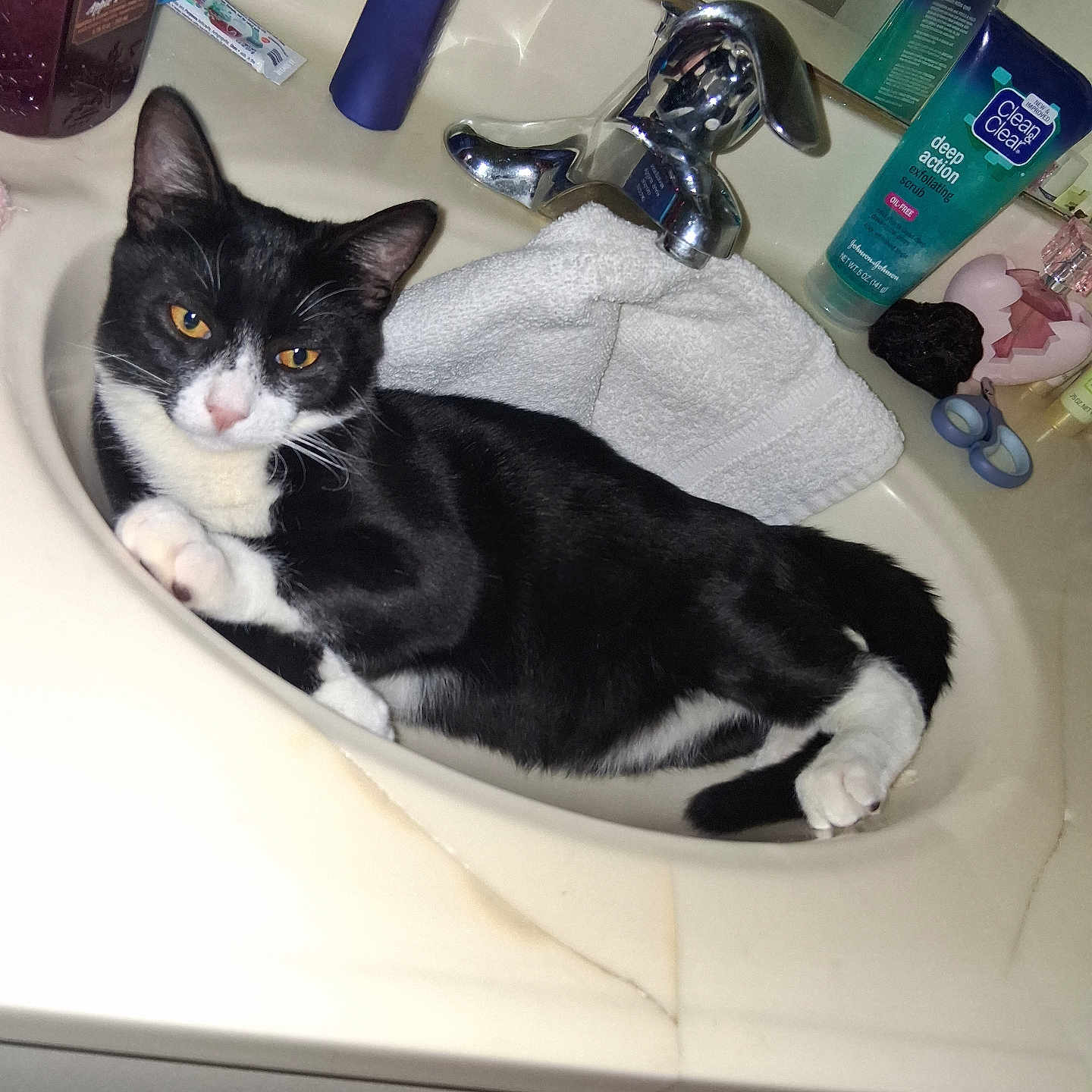 Mr Boots joined the competition — help win amazing prizes! cat, tuxedo_cat, black_and_white, pet, animal, feline, whiskers, green_eyes, pink_nose, sitting, lying_down, bathroom, sink, faucet, towel, toiletries, mirror, indoor, portrait, cute