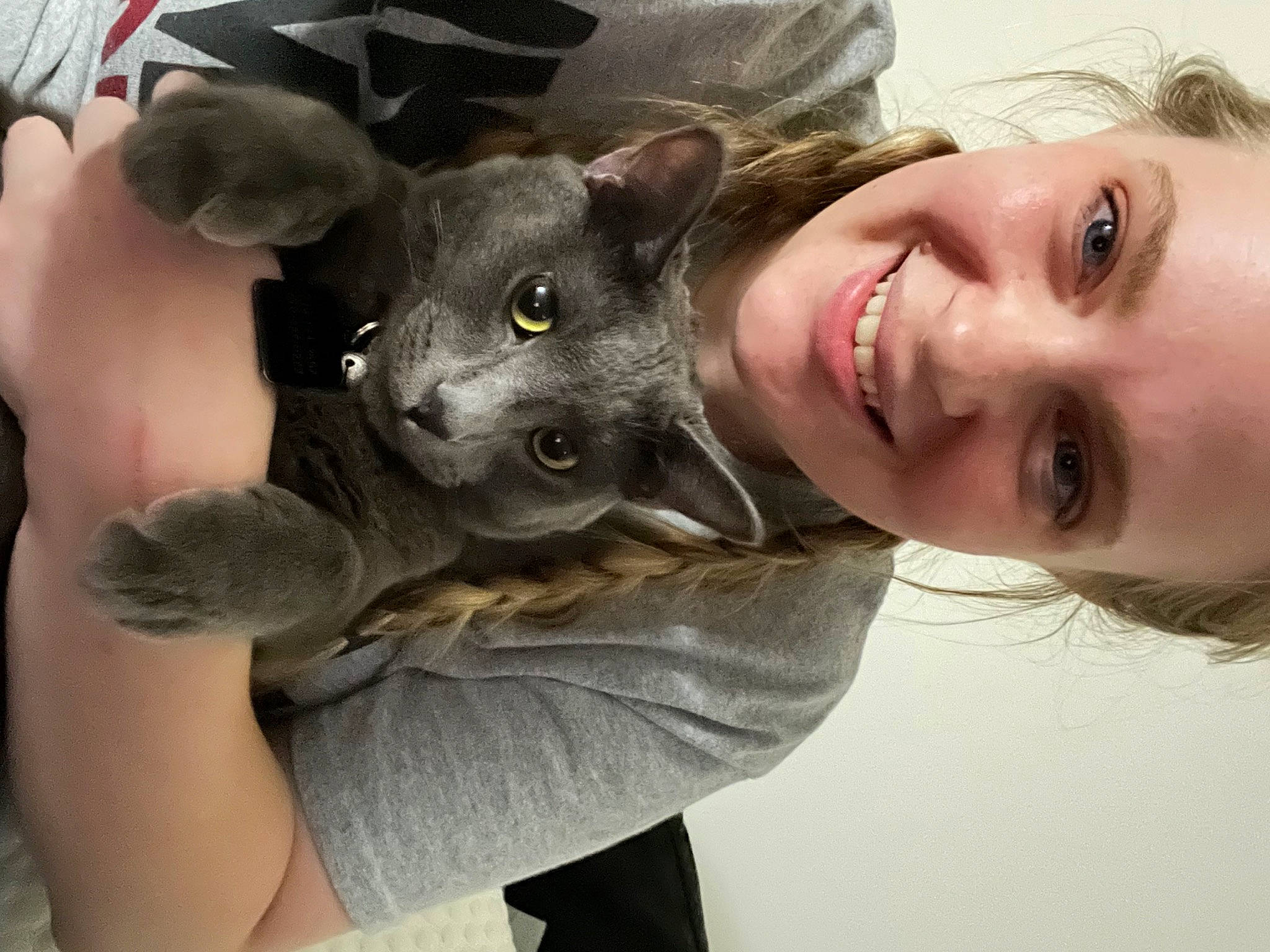 Owen joined the competition — help win amazing prizes! carnivore, cat, comfort, ear, eye, eyelash, fawn, felidae, fur, gesture, happy, head, jaw, neck, shoulder, skin, small_to_medium_sized_cats, smile, snout, whiskers