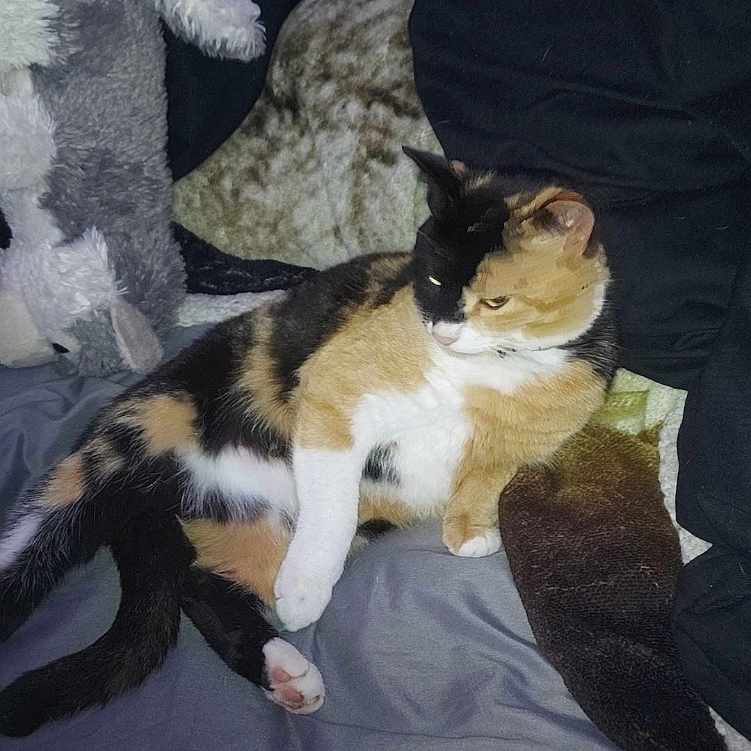 Kiki