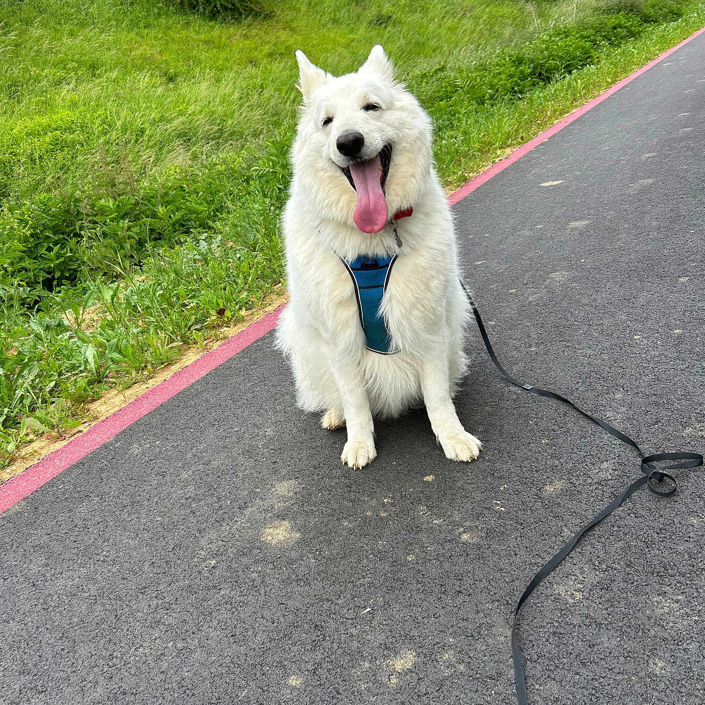 Olaf