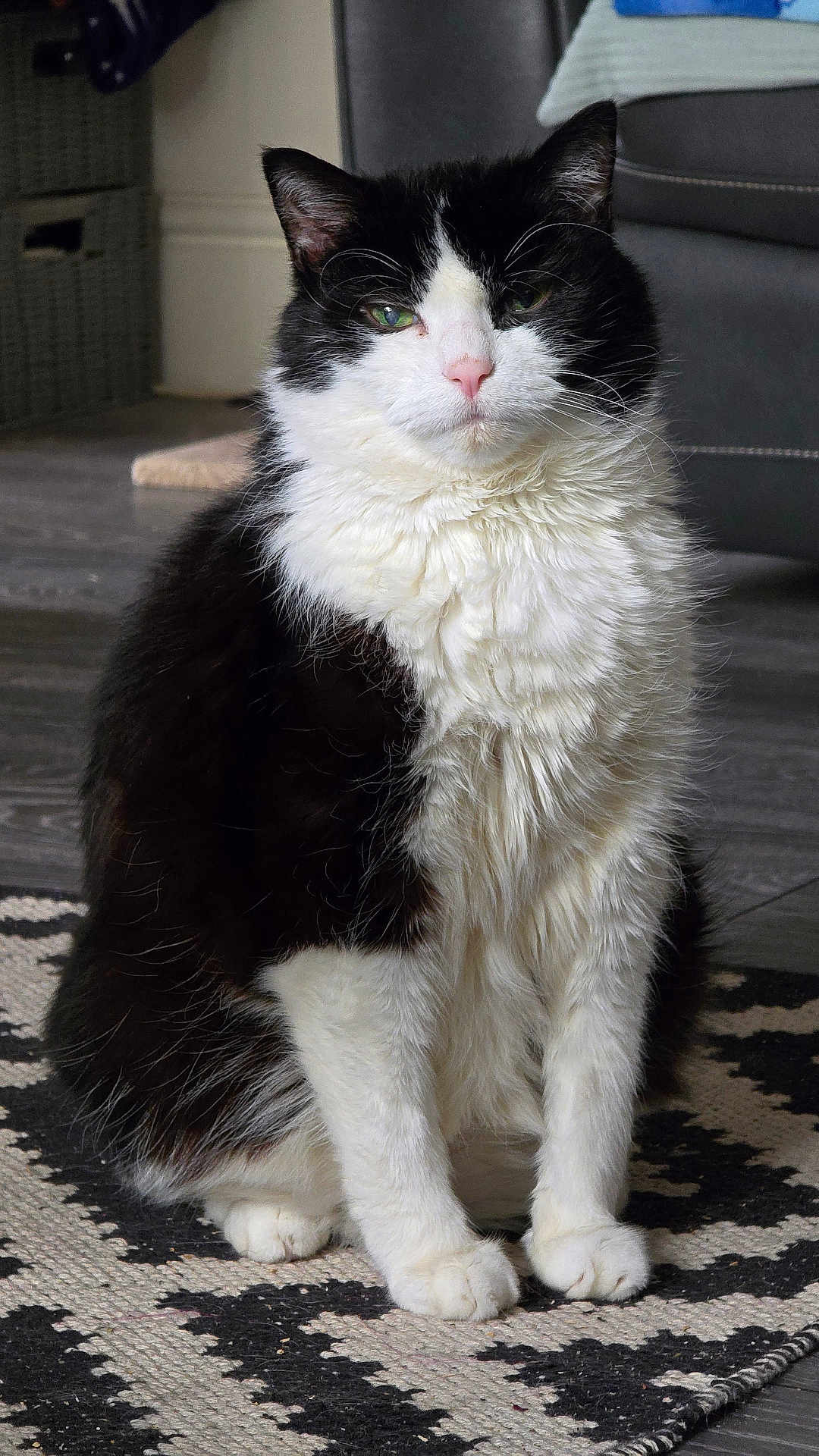 Loki