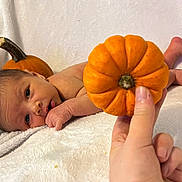 Julian is registered to the contest to win money with this photo: baby, newborn, infant, pumpkin, hand, blanket, orange, skin, lying_down, cute, soft, autumn, fall, small_pumpkin, fingers, head, face, eyes, background, resting