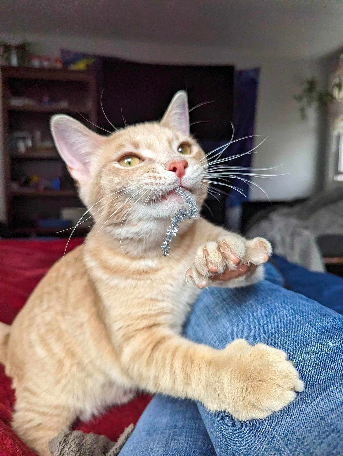 Butters